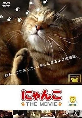 ねこふんじゃった踩到猫儿＂：一场关于猫咪与音乐的奇妙邂逅，带你领略不一样的萌宠世界！