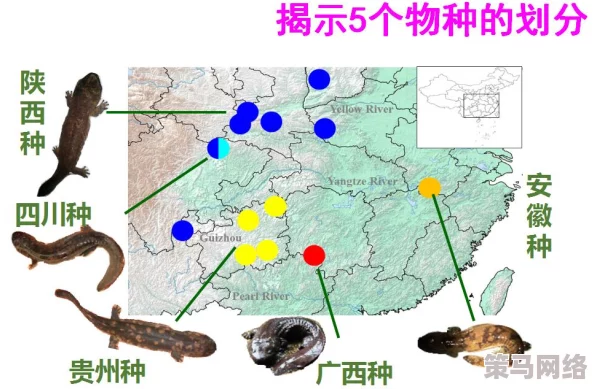 17c.12一起槽：震惊！最新科研揭示人类基因组中隐藏的未知秘密，可能彻底改变医学界的未来！