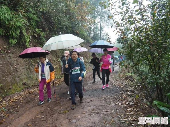 绝地求生刺激战场：解锁永久登山爱好者套装详细获得方法与攻略指南