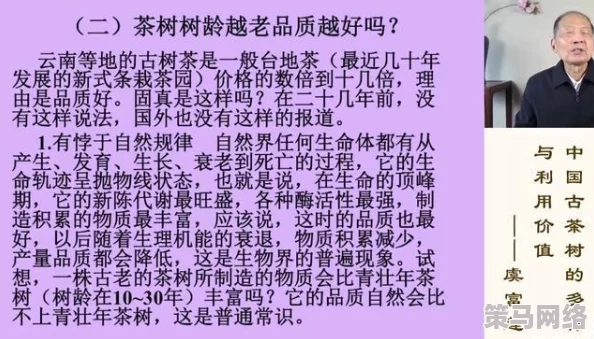 藏精阁未满十八岁：年轻人如何在数字时代找到自我表达的空间与机会